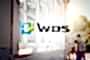Пластиковые окна WDS 